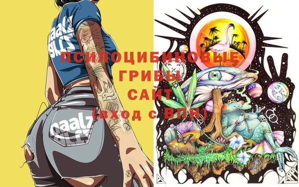 каннабис Баксан